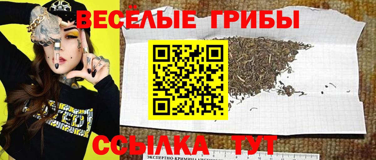 Галлюциногенные грибы мухоморы  Вход с VPN  Ликино-Дулёво  Галлюциногенные грибы Psilocybine cubensis 